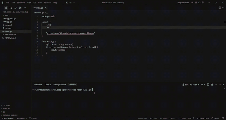 Terminal executando a CLI net-recon-cli para consultar IP e mapear servidores NS de um domínio